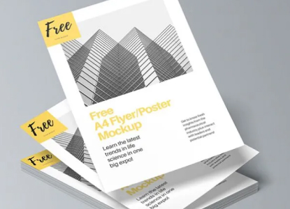 Flyer Include Flyer Insertion - Expert Design and Printing of Flyers By Align ...